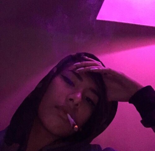 anaxanim_01