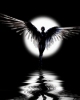 Аватар для AngelOfFaith